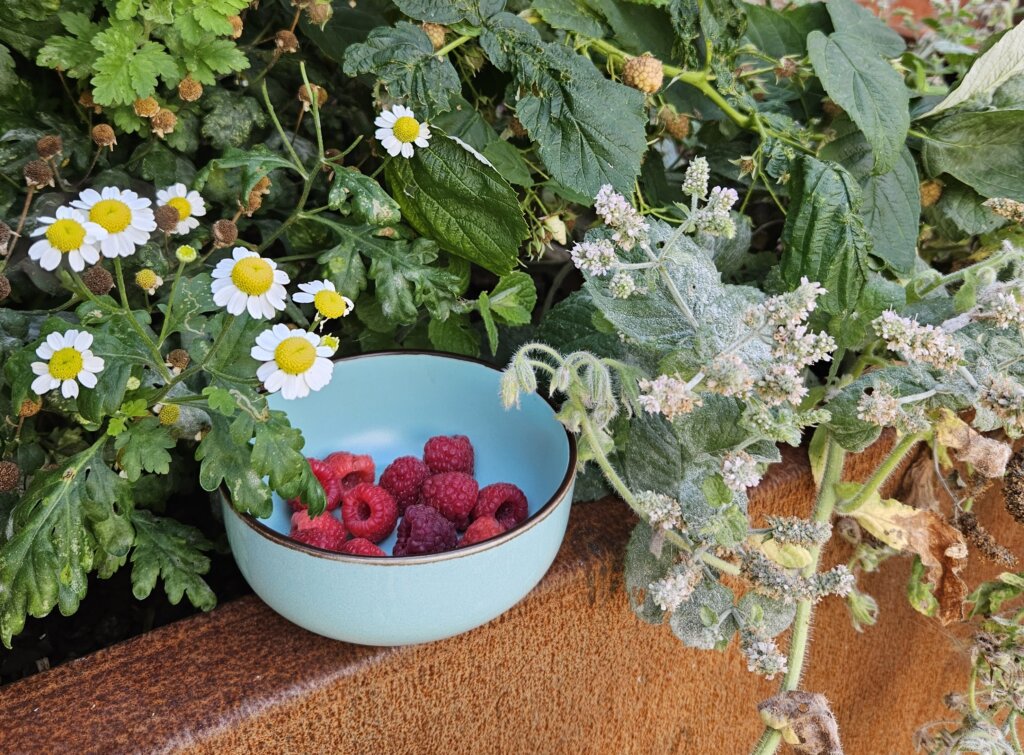 Fruitiers